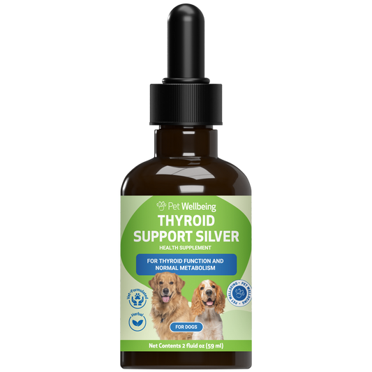Thyroid Support (Hypothyroidism) - Dog | Pet Wellbeing