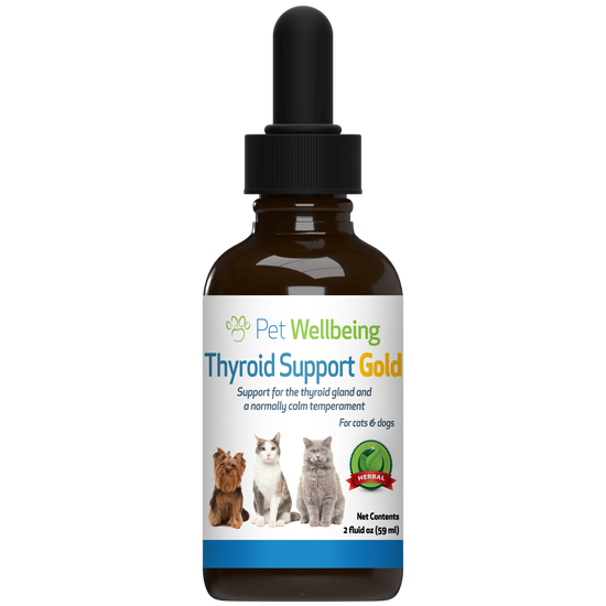 Thyroid Support Gold Supports Healthy Thyroid Gland Function in Cats Pet Wellbeing