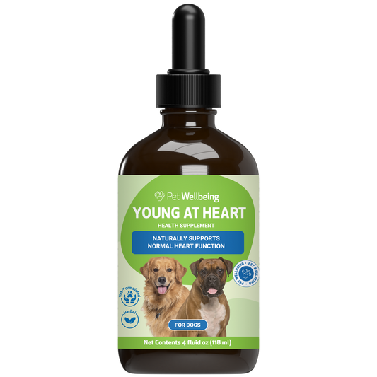 Young at Heart - Holistic Heart Health Care for Dogs