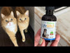 Pet Wellbeing Life Gold is a veterinarian-formulated, high-quality supplement developed to support your cats healthy organ function and to help maintain normal, balanced cellular growth. It’s powerful herbal ingredients are designed to be gentle and effective, supporting your cat’s well-being through all life’s twists and turns.