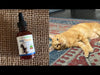 Pet Wellbeing Milk Thistle is a veterinarian-formulated, high-quality supplement developed to support your cats healthy liver function. It contains powerful antioxidants and may help promote liver cell health. 