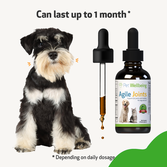 Agile Joints for Dog Joint Mobility Pet Wellbeing