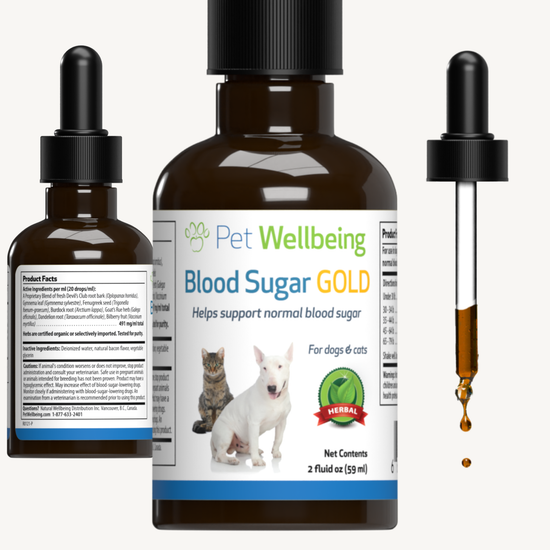 Blood Sugar Gold for Cat Blood Sugar Support Pet Wellbeing