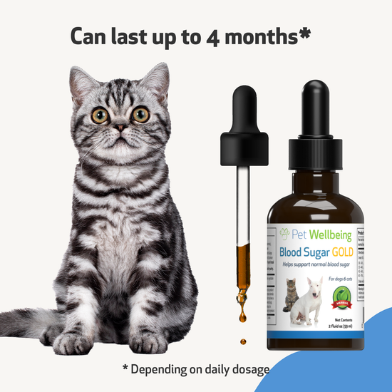 Blood Sugar Gold Blood Sugar Support for Cats Pet Wellbeing