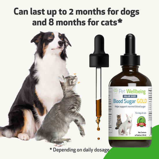 Blood Sugar Gold for Dog Blood Sugar Support Pet Wellbeing
