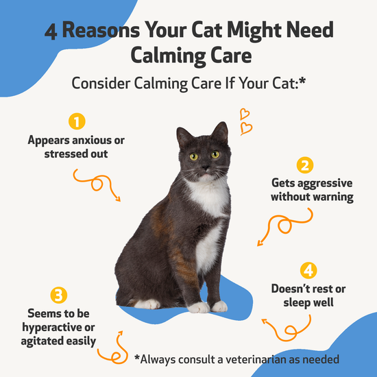 Calming Care - for Cat Anxious Behavior | Pet Wellbeing