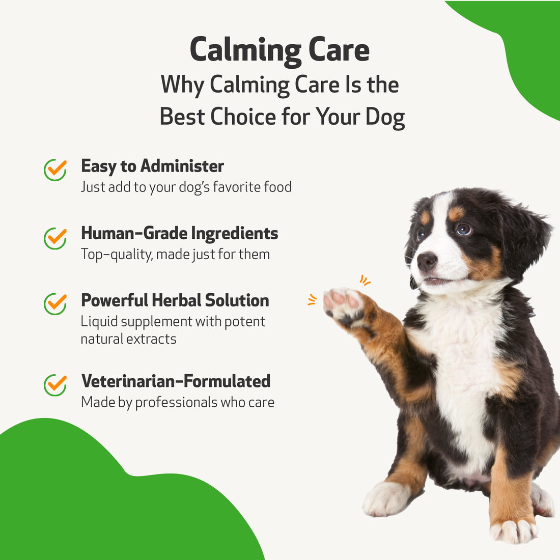 5 Tips to Calm Down a Hyperactive or Anxious Dog - GoodRx