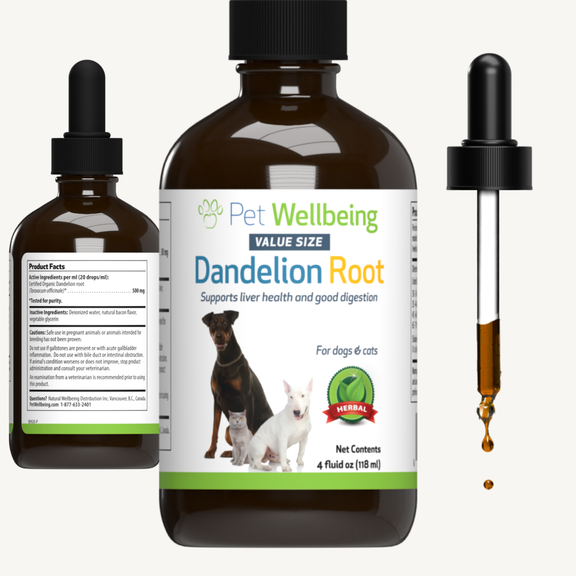 Dandelion Root Digestive & Liver Support for Cats Pet Wellbeing