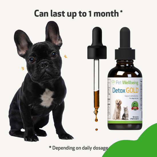 Detox Gold for Dogs Gentle Detoxification & Elimination Support Pet