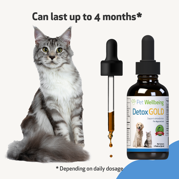 Detox Gold for Cats - Gentle Detoxification & Elimination Support | Pet ...