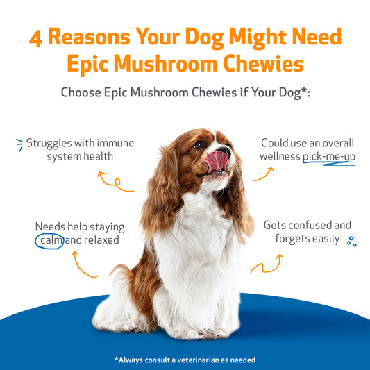 Epic Mushroom Chewies for Dogs