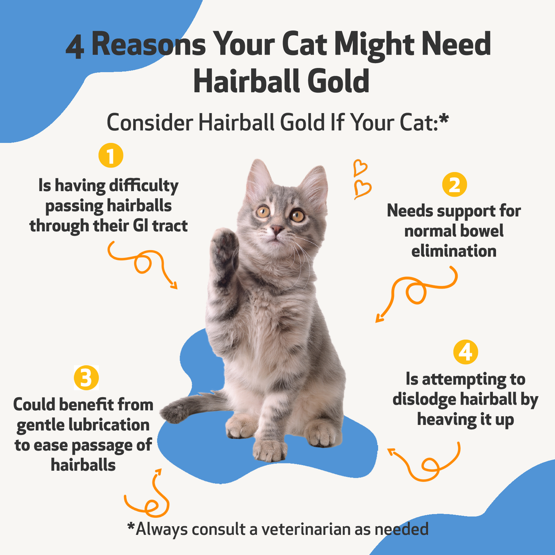 Hairball Gold Help for Cat Hairballs Pet Wellbeing