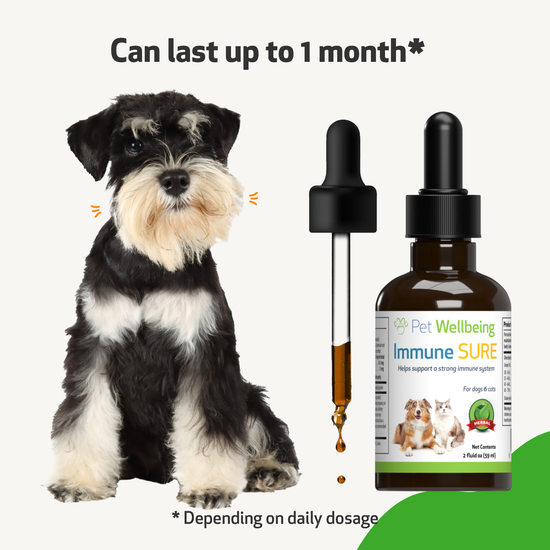 Immune SURE for Canine Immune System Support Pet Wellbeing