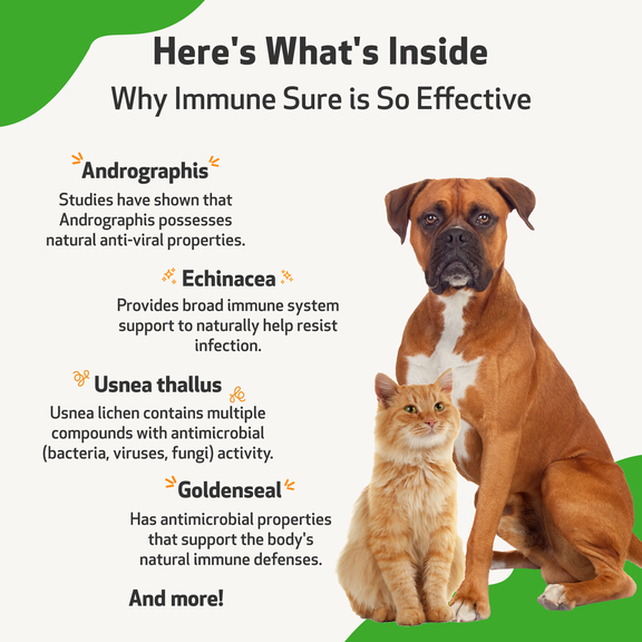 Immune SURE for Feline Immune System Support Pet Wellbeing