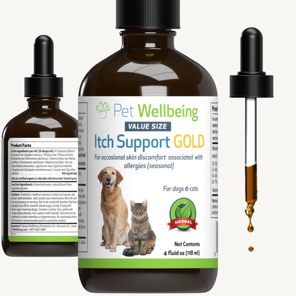 Itch Support Gold for AllergyRelated Itch in Cats Pet Wellbeing