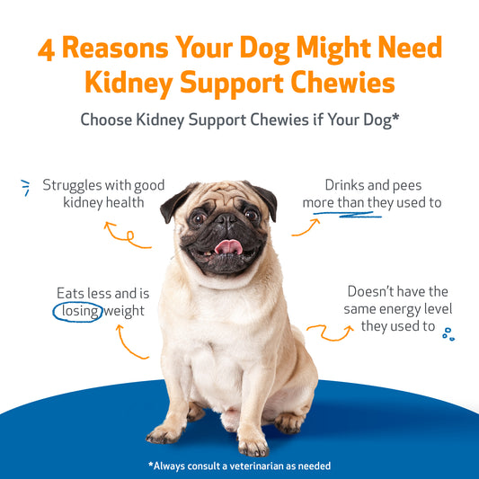 Kidney Support Chewies for Dogs