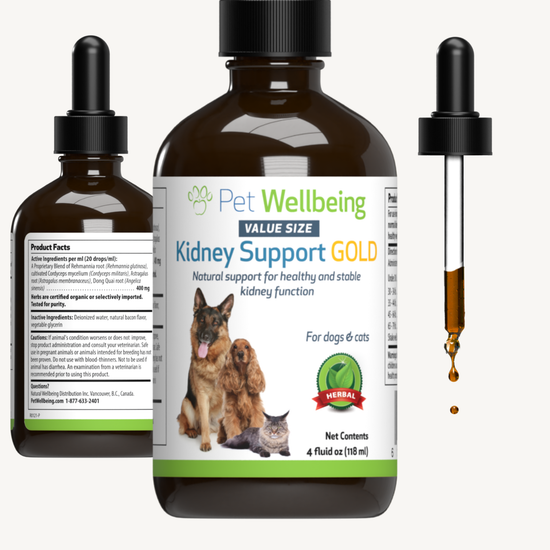 Kidney Support Gold for Dog Kidney Function Pet Wellbeing