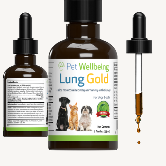 Pet wellbeing best sale calming care