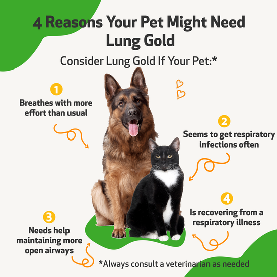 Lung Gold Lower Respiratory Tract Support for Dogs Pet Wellbeing