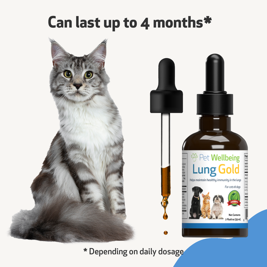 Lung Gold Lower Respiratory Tract Support for Cats Pet Wellbeing