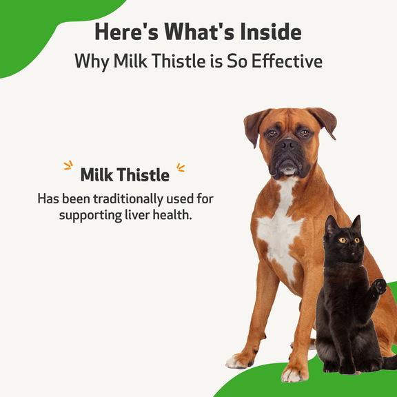 Pet wellbeing milk thistle for dogs best sale