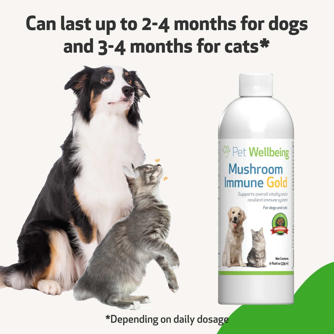 Mushroom immune gold for dogs best sale