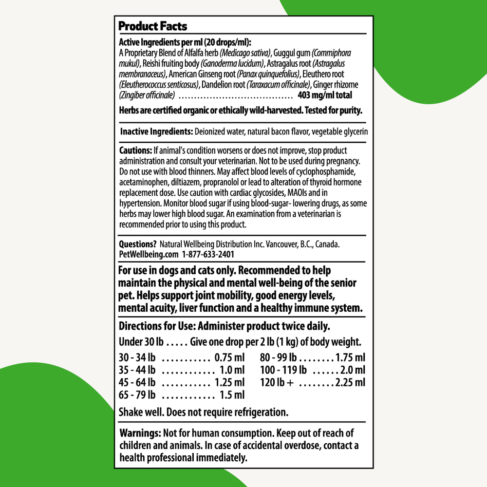 Old Friend for Senior Cats Pet Wellbeing