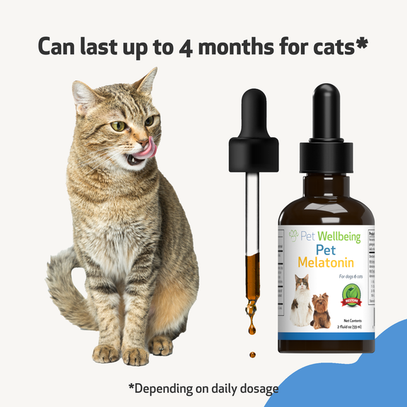 Pet Melatonin for Cats Pet Wellbeing
