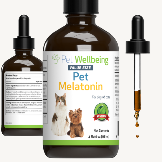 Pet Melatonin Pet Wellbeing