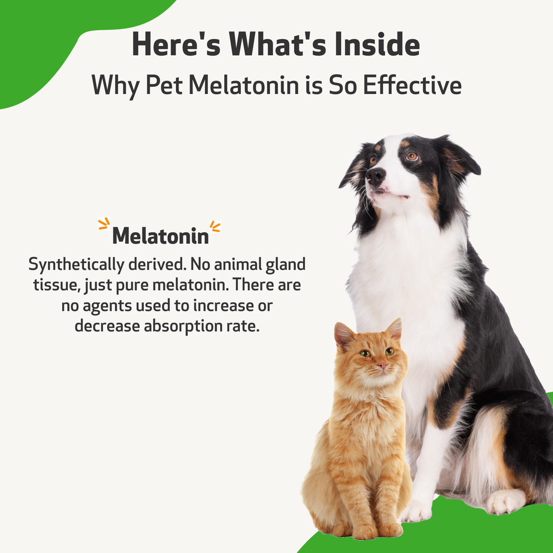 do dogs make melatonin