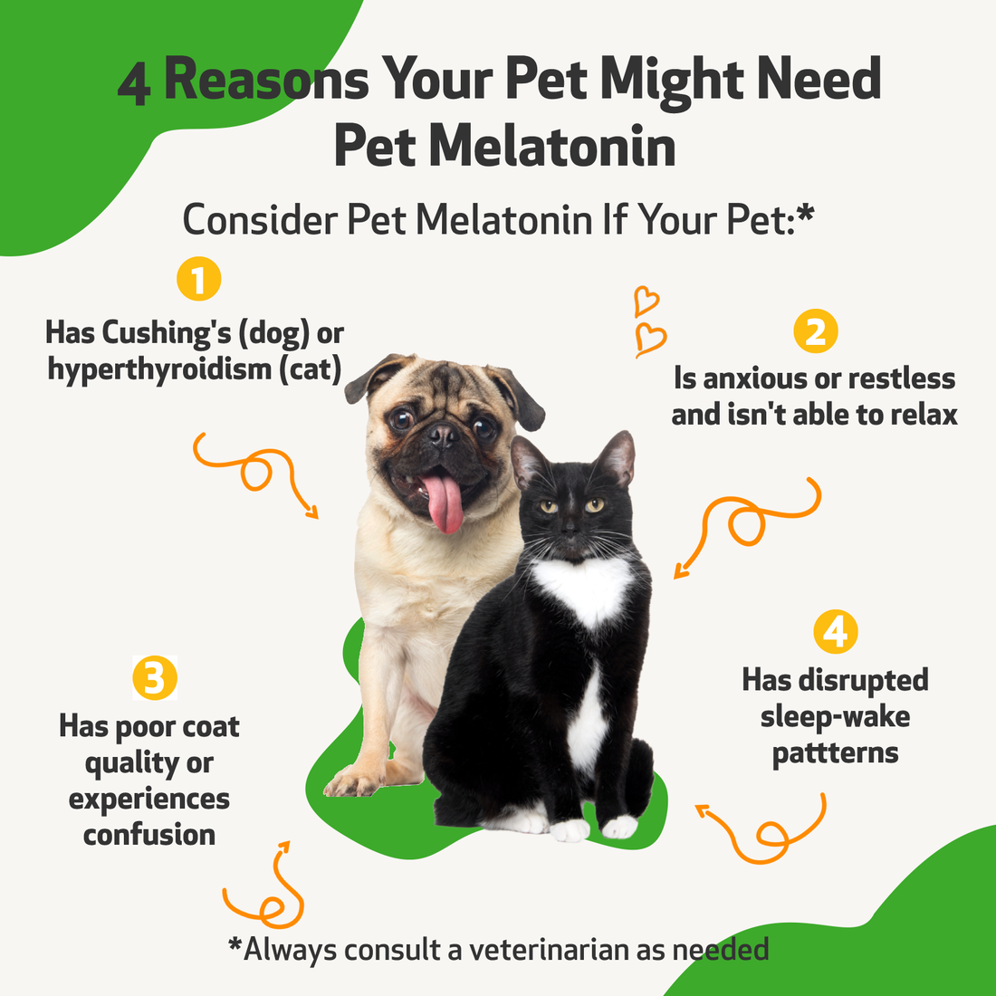 Human melatonin 2024 for cats