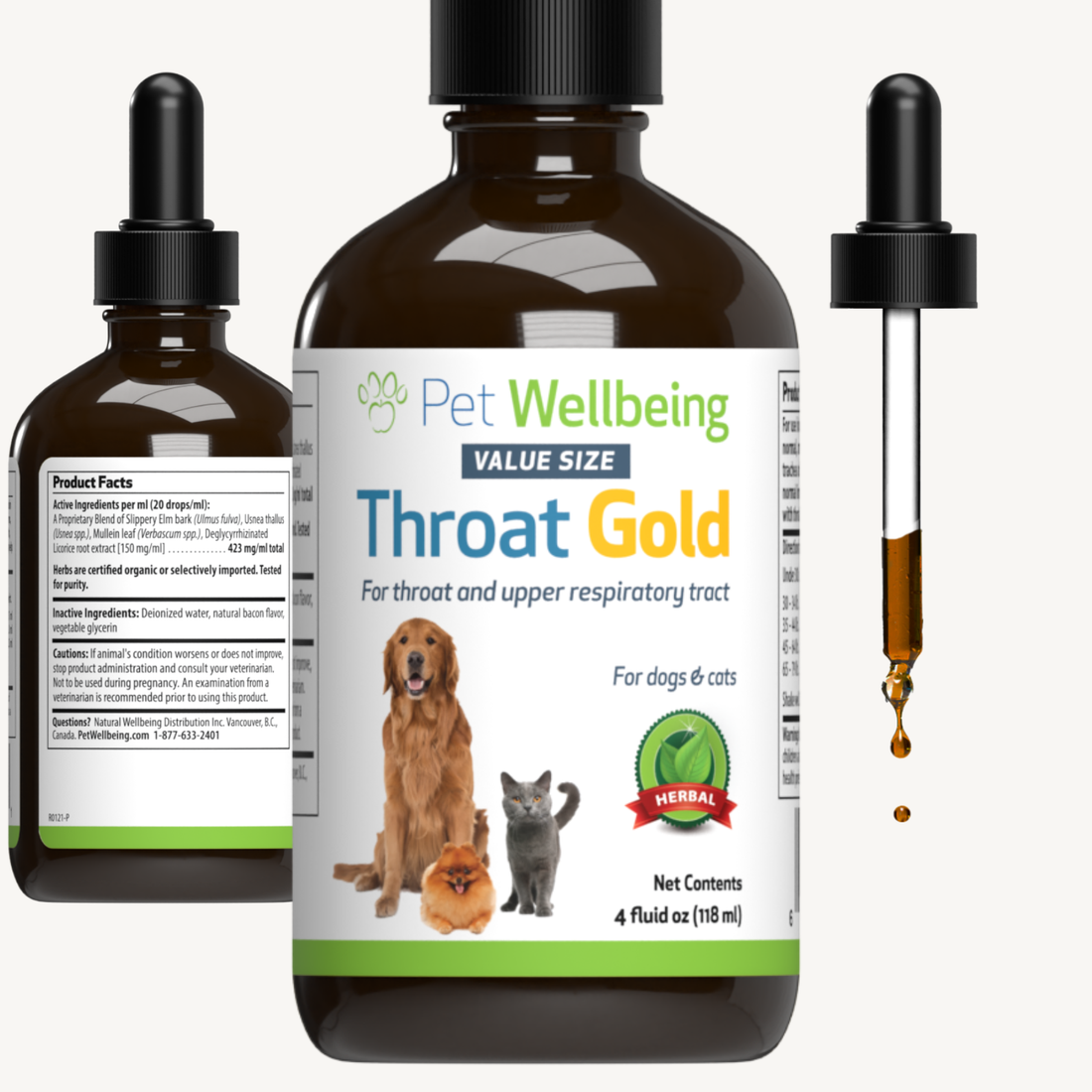 Pet cough medicine hotsell