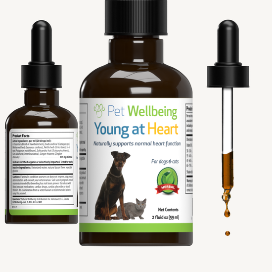 Heart vitamins for dogs cheap