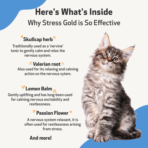 Stress Gold - for High Stress Situations in Dogs
