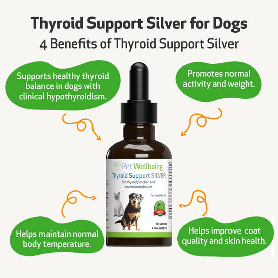 Thyroid Support Silver - Supports Balanced Thyroid Function in Dogs ...