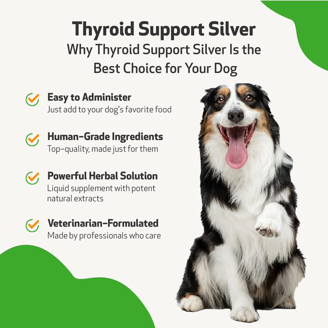 Canine thyroid sale support