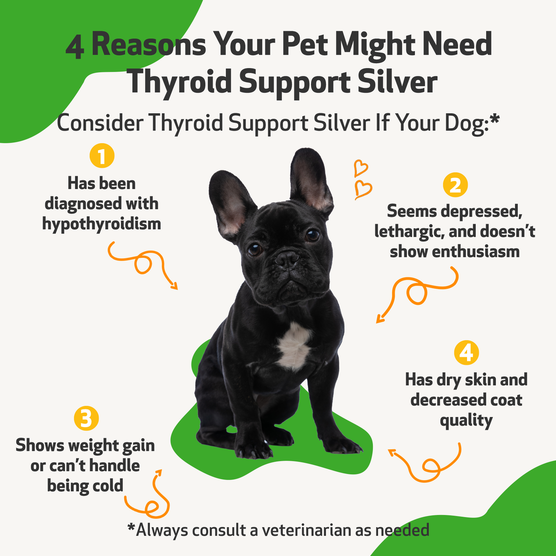 Canine 2024 thyroid support