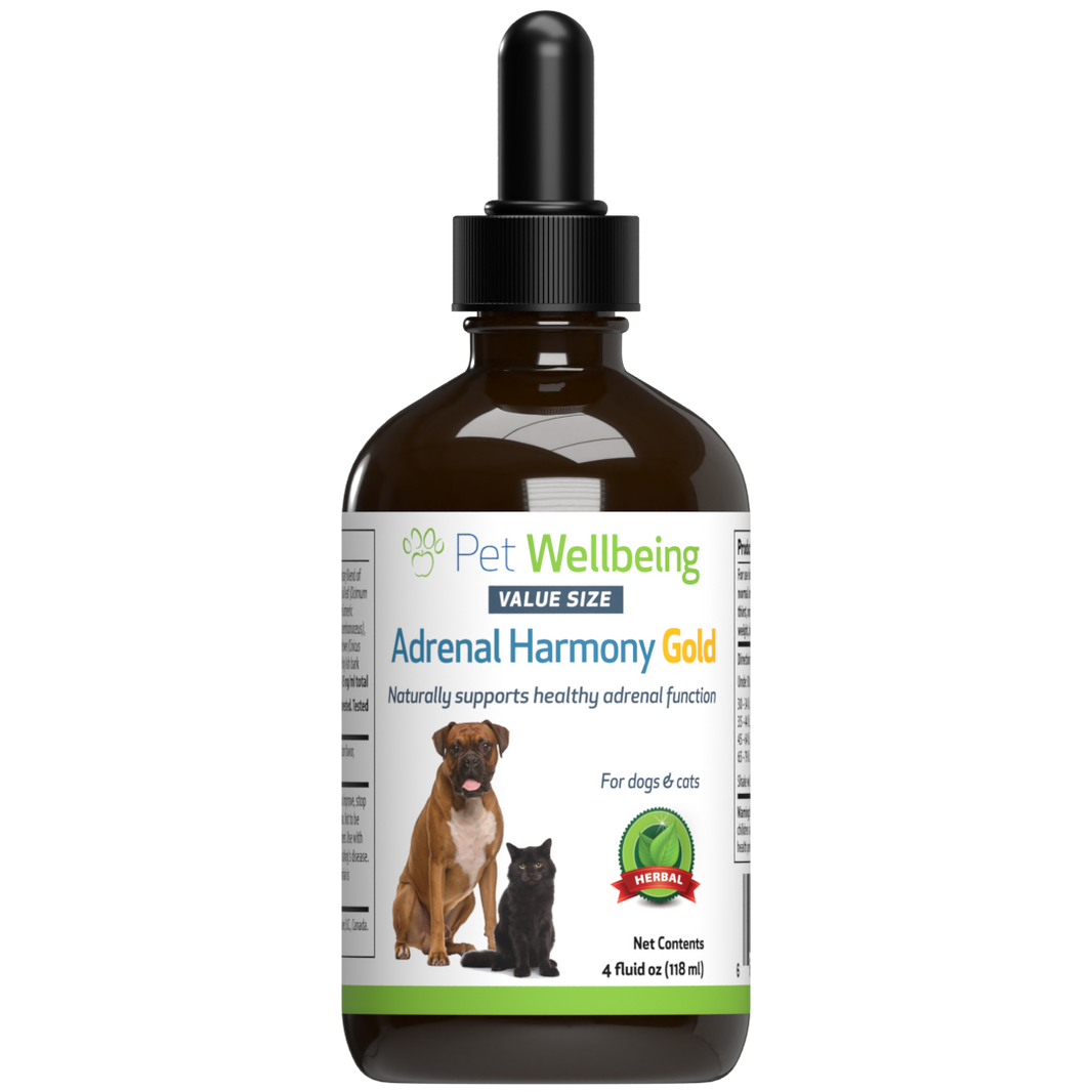 Natural sales pet supplements