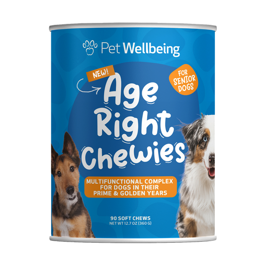 Wellbeing essentials for clearance dogs