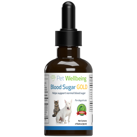 Blood Sugar Gold - for Cat Blood Sugar Support