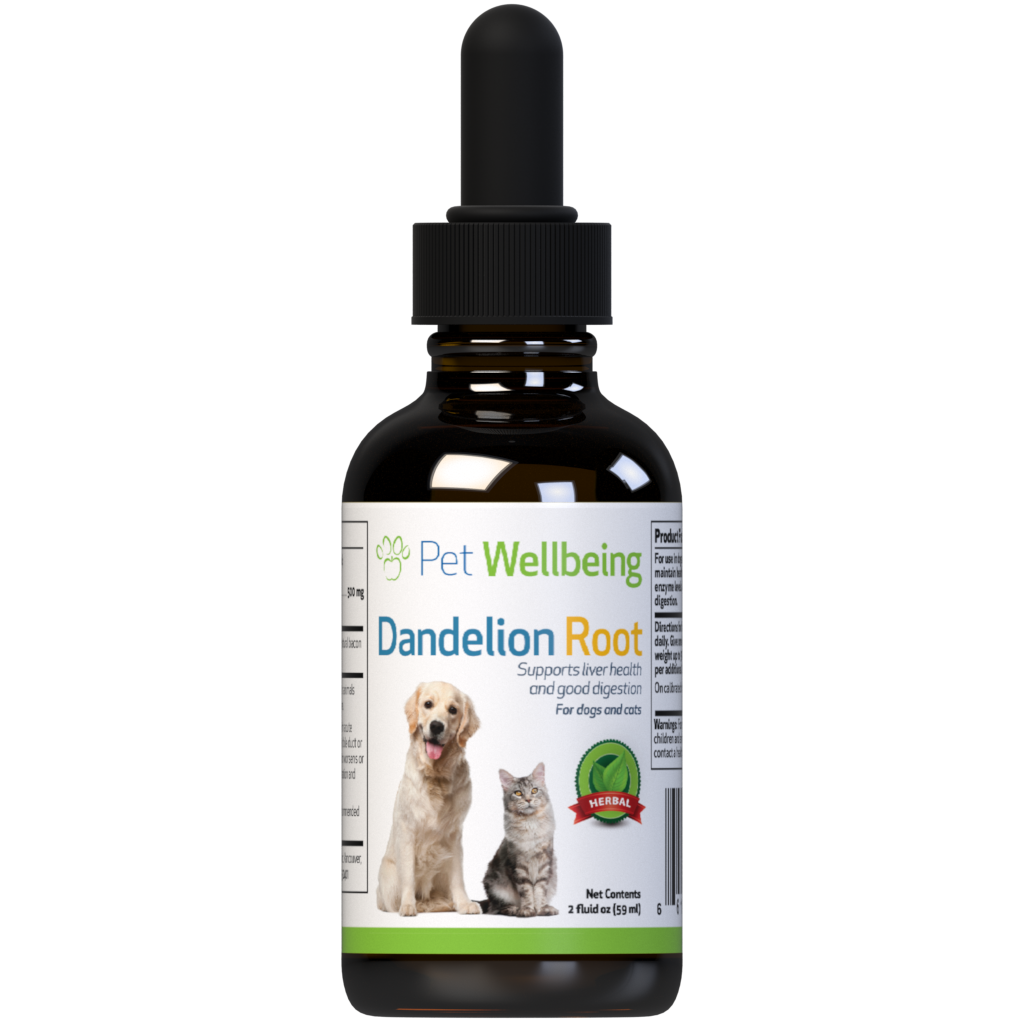 Dandelion Root Holistic Digestive Liver Support for Dogs Pet Wellbeing