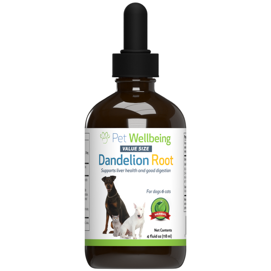 Dandelion Root - Digestive & Liver Support for Dogs