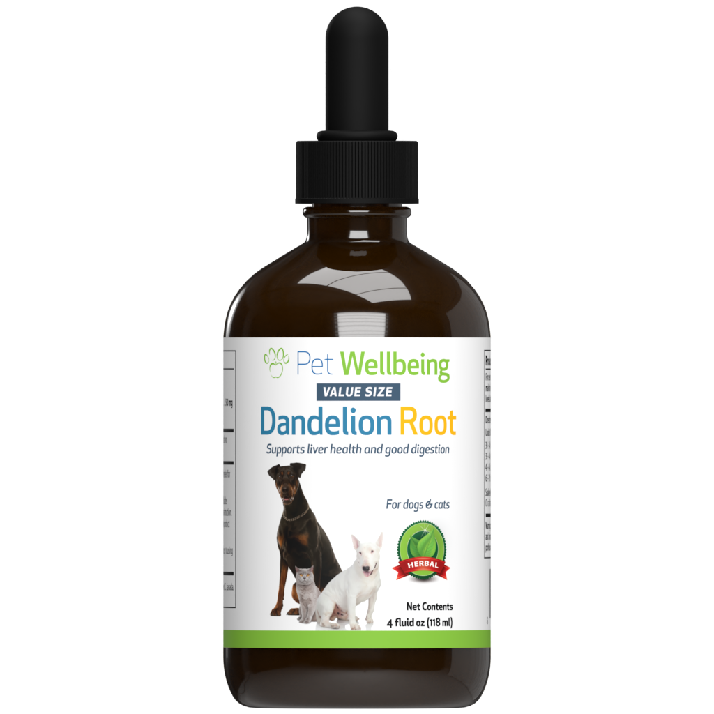 Dandelion Root Digestive Liver Support for Cats Pet Wellbeing