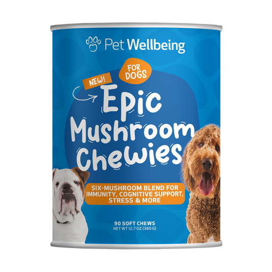 Epic Mushroom Chewies for Dogs