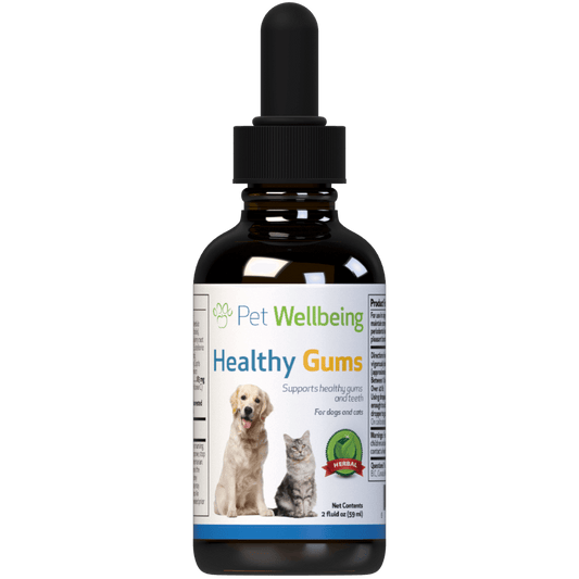 Healthy Gums - for Feline Periodontal Health