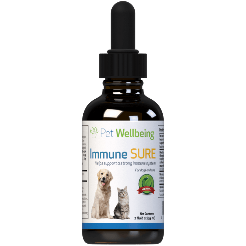Vitamins for sales cats immune system