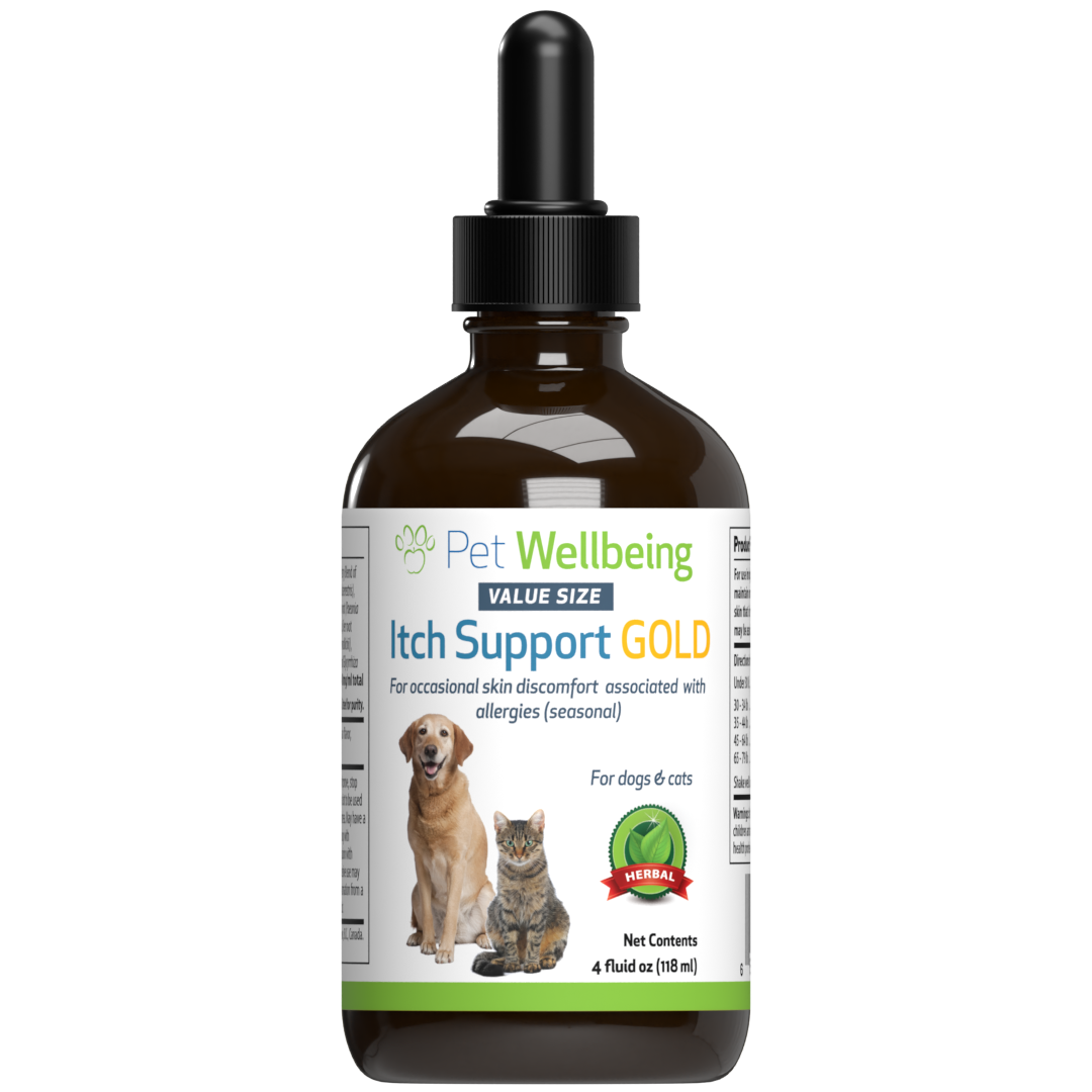 Itch Support Gold for Allergy Related Itch in Cats Pet Wellbeing