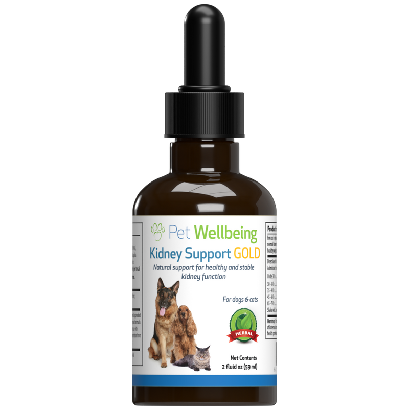Kidney Support Gold for Healthy Kidney Function in Cats Pet Wellbeing