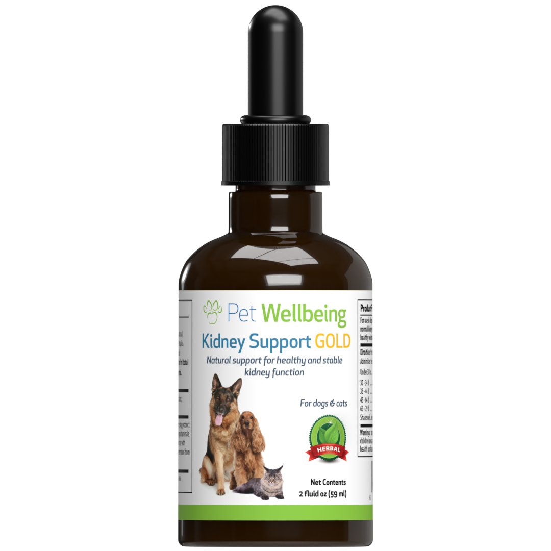 Kidney Support Gold for Dog Kidney Function Pet Wellbeing