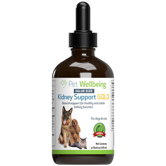 Top supplements hot sale for dogs